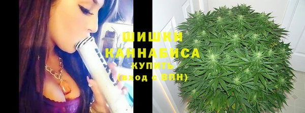 хмурый Верхний Тагил
