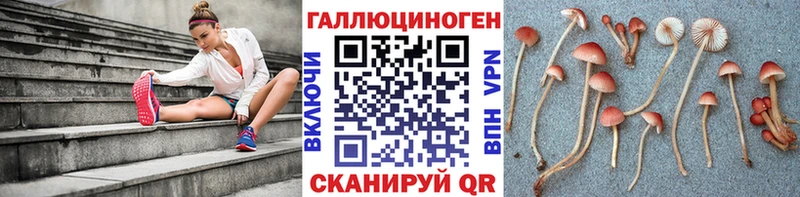 купить  сайты  Ишим  Галлюциногенные грибы Psilocybine cubensis 